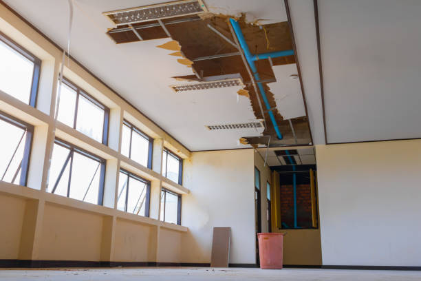 Best Sewage cleanup and water damage restoration  in Eustis, FL