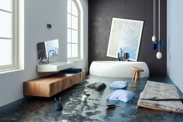 Best Basement water damage restoration  in Eustis, FL