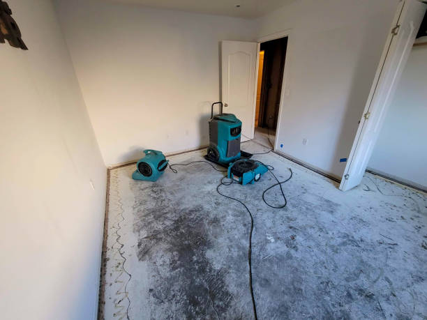 Professional Water damage restoration in Eustis, FL