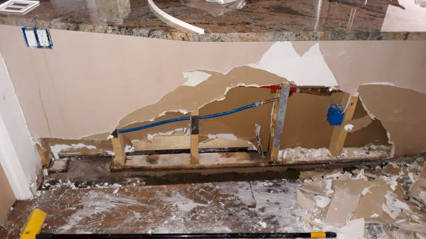Best Ceiling water damage repair  in Eustis, FL