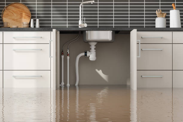 Best Water damage contractors near me  in Eustis, FL