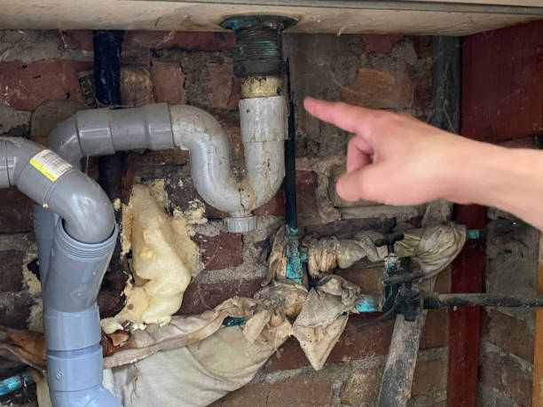 Best Water damage restoration near me  in Eustis, FL
