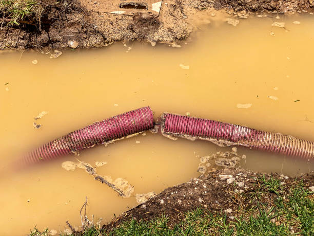 Best 24/7 water damage repair  in Eustis, FL