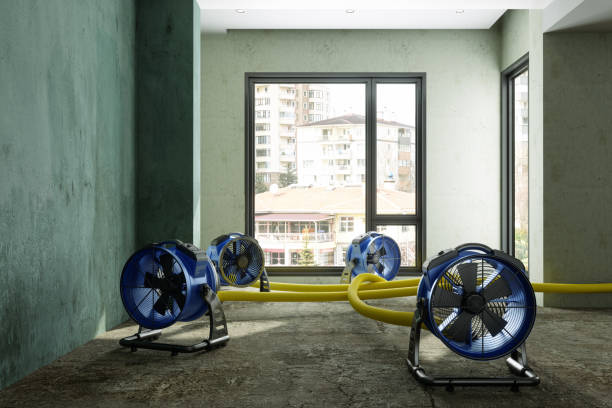 Best Fire Damage Restoration  in Eustis, FL