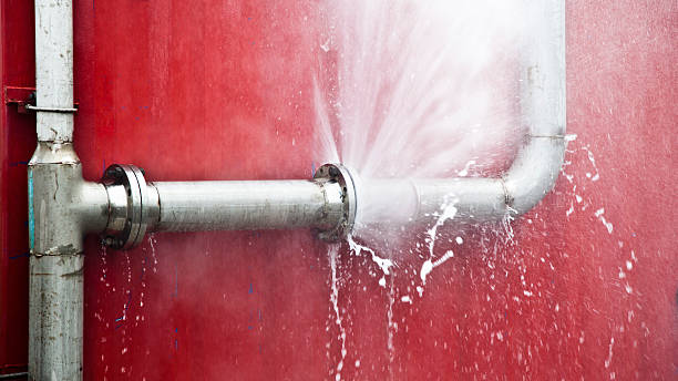 Best Water damage restoration near me  in Eustis, FL
